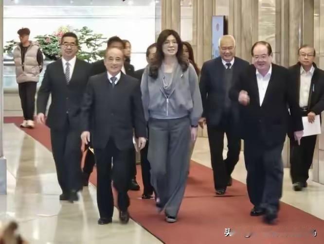 这篇聘任背后藏着国民党整合派系、备战选举的深意，我会结合王金平的政治履历、国民党