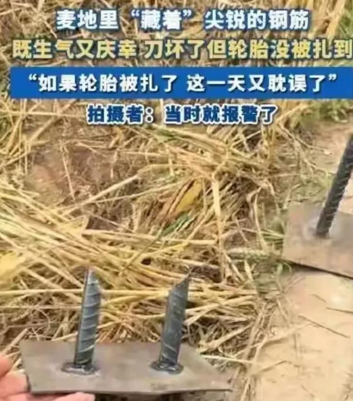 河北邯郸，麦收时节，闫女士开着收割机在麦田抢收。突然机器发出刺耳摩擦声，她停车查