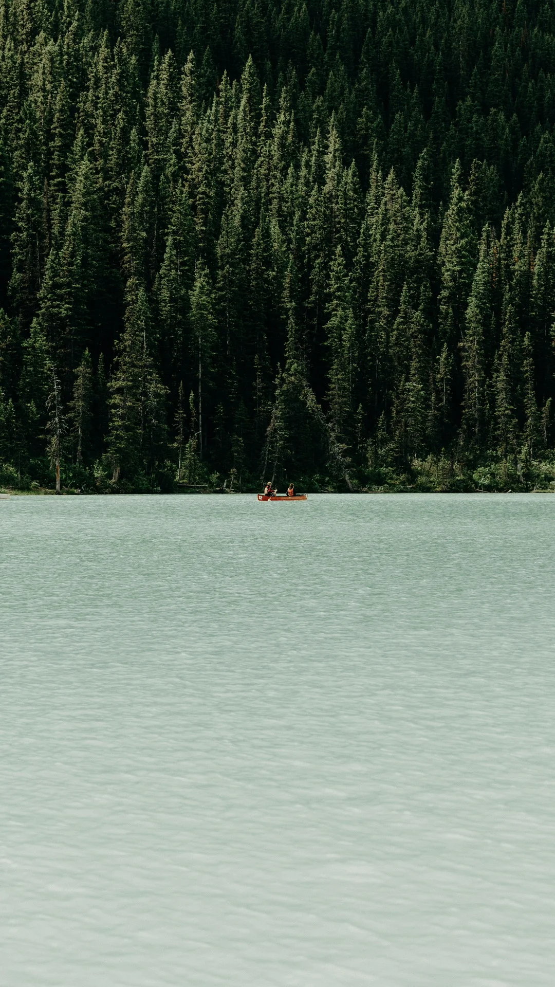 听说可以发全屏图了❗️