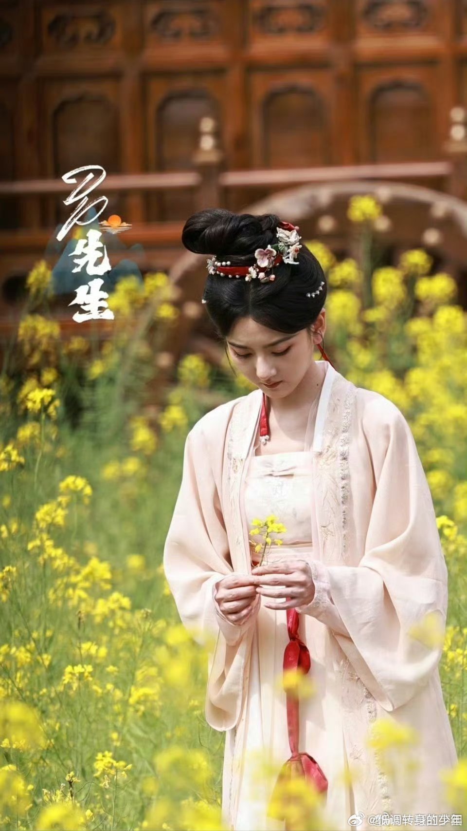 宋祖儿 司宫令油菜花路透图！这好美啊天选古人吴蒖蒖wink～ 