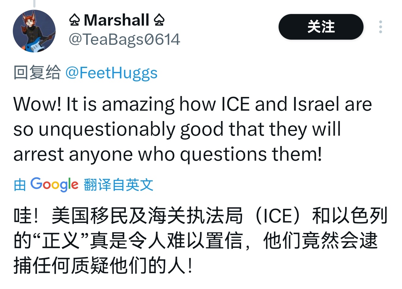 埃及土耳其等8国联合声明 只要质疑美国和以色列就会被逮捕。 