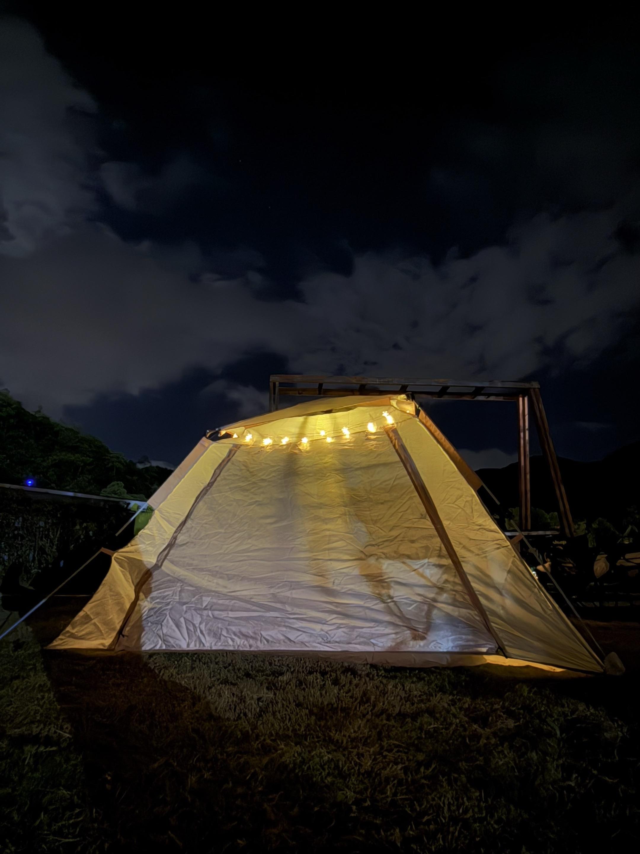 生活给了我多少积雪 我就能遇到多少个春天。