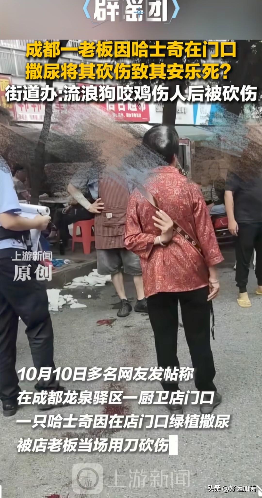 发现有些爱狗人士真的很极端，不分青红皂白，只要伤害狗了，就去攻击伤害狗的人，这只