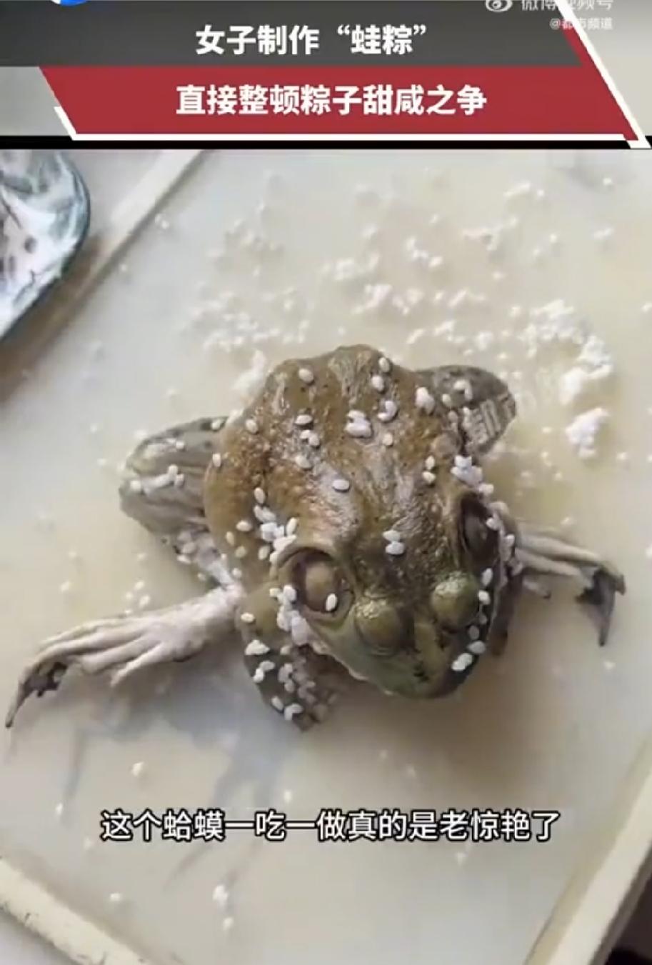 大家相信都吃过咸粽子和甜粽子，但是蛤蟆粽子那是第一次听说，光是看这长相那是难以下