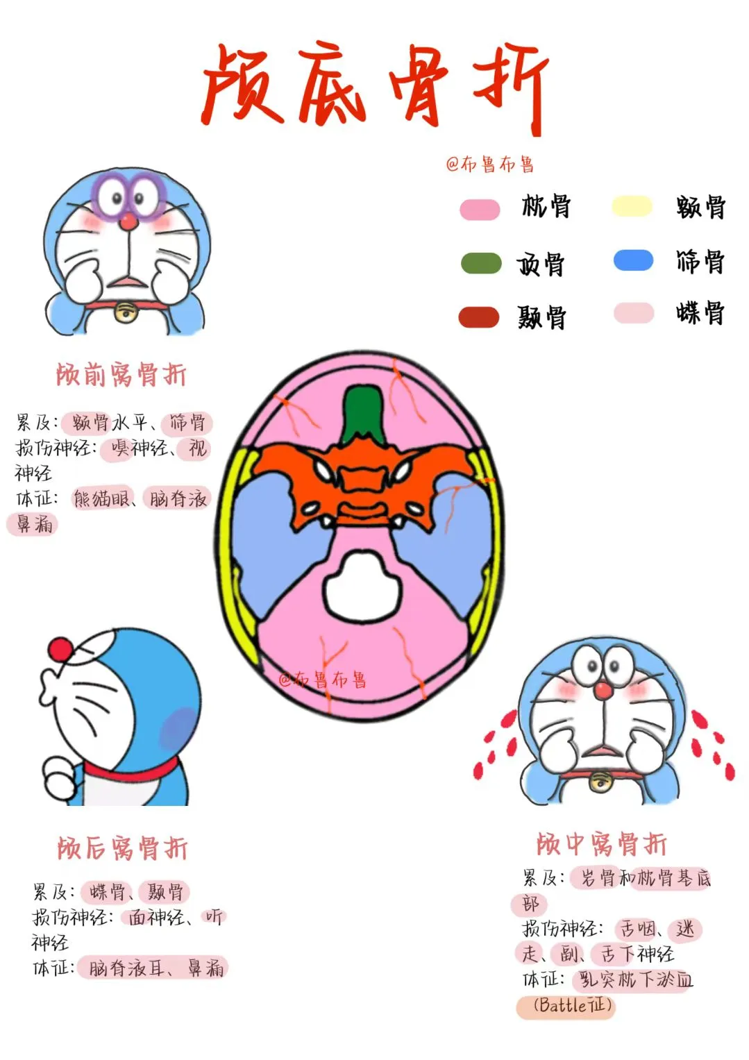医学生笔记——颅底骨折