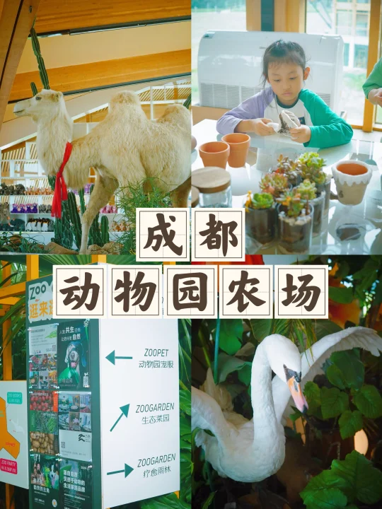 震惊！成都居然有热带雨林托管🧒🐒🦢
