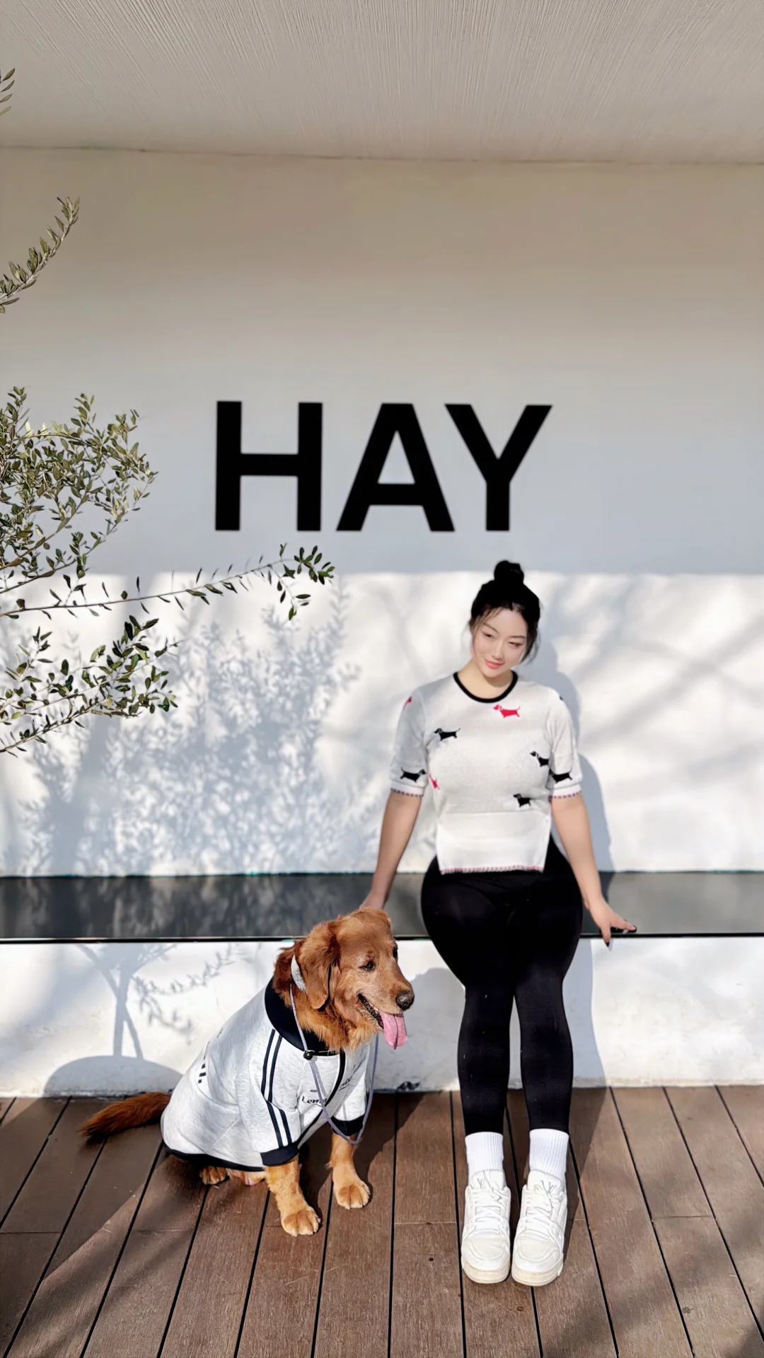 麓湖cpi 晒太阳友好地