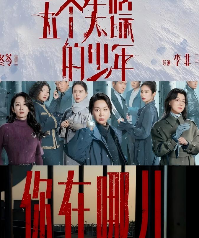 由赵冬苓编剧、李非执导的悬疑家庭剧《五个失踪的少年》改编自悬疑作家宁航一同名原著