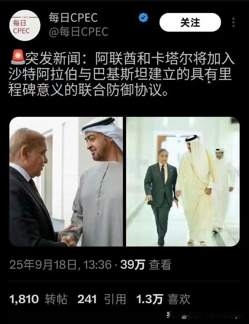 3个大户出钱，小巴出兵……据外媒报道，2025年9月18日，阿联酋和卡塔尔将与沙