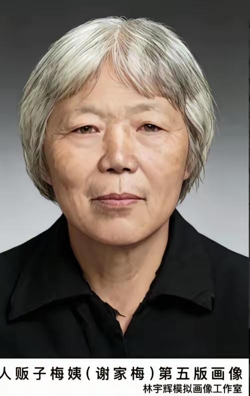 翻看梅姨的相关信息，着实让人心里五味杂陈。


谁也想不到，犯下累累恶行的人，落