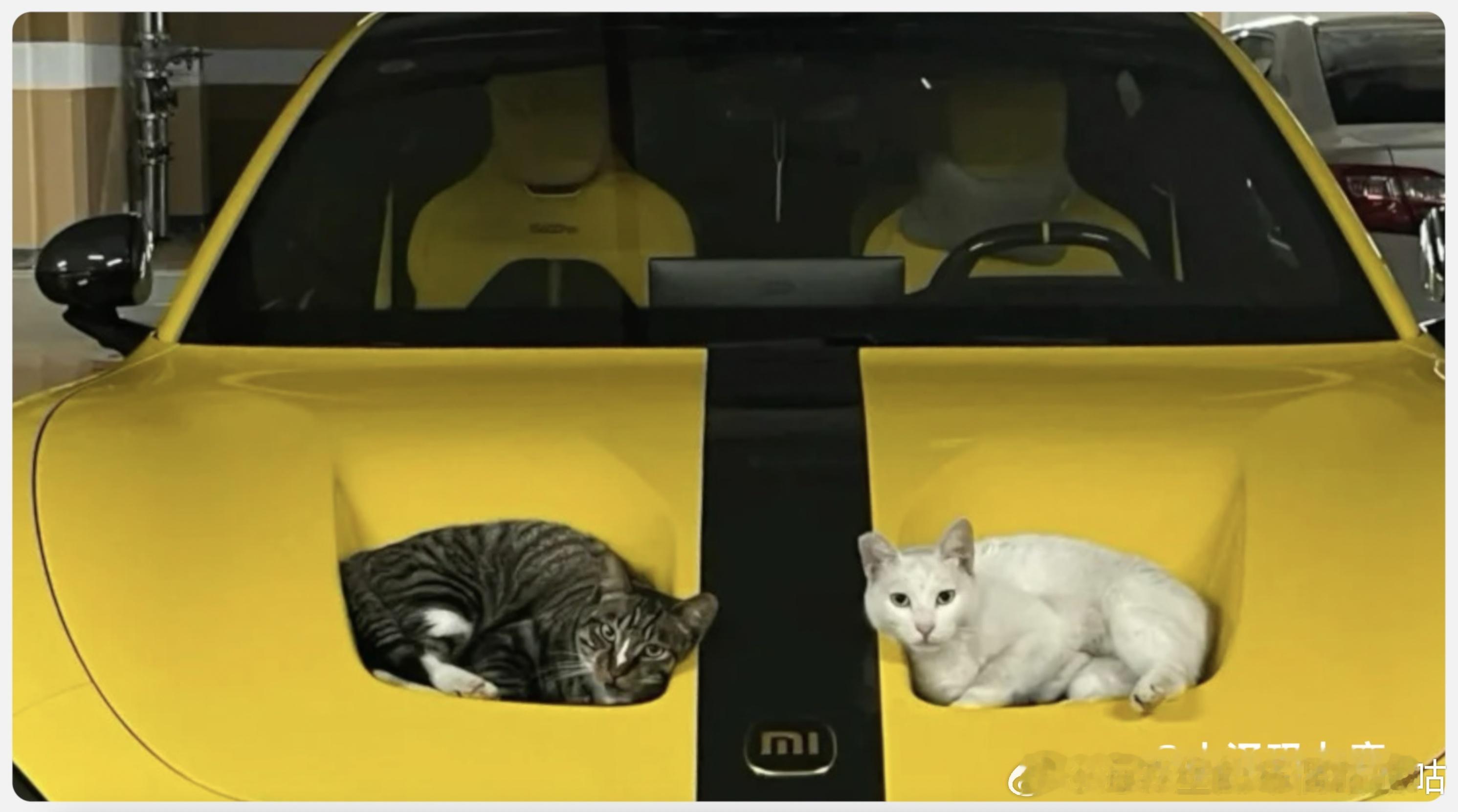 这一年来，小米和小米车主一起，经历过夸赞，也经历过网暴，经历过辱骂，但是车主们没