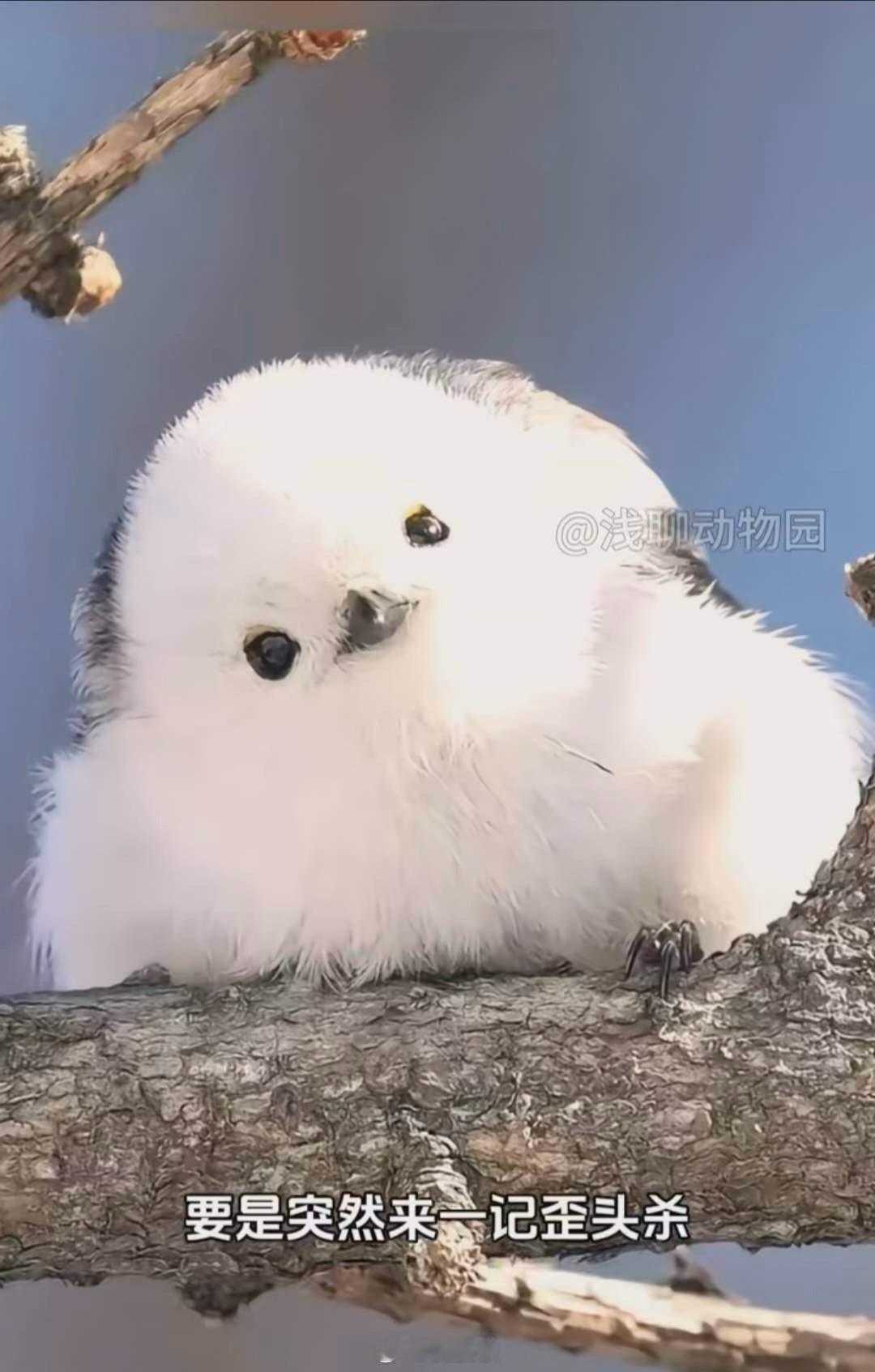 大家发现没？1:前几年很火的微信同学群，现在基本已没动静了，除了春节和五一、十一