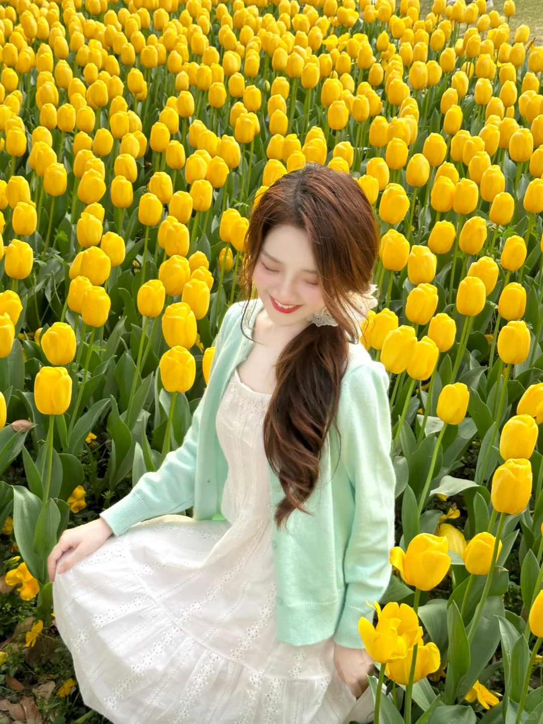 想看看你们拍的郁金香🌷