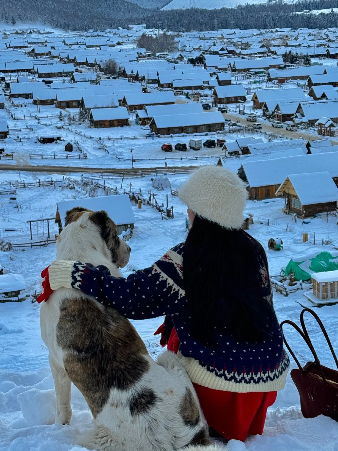 为什么冬天要去新疆阿勒泰旅游❗人少景还美