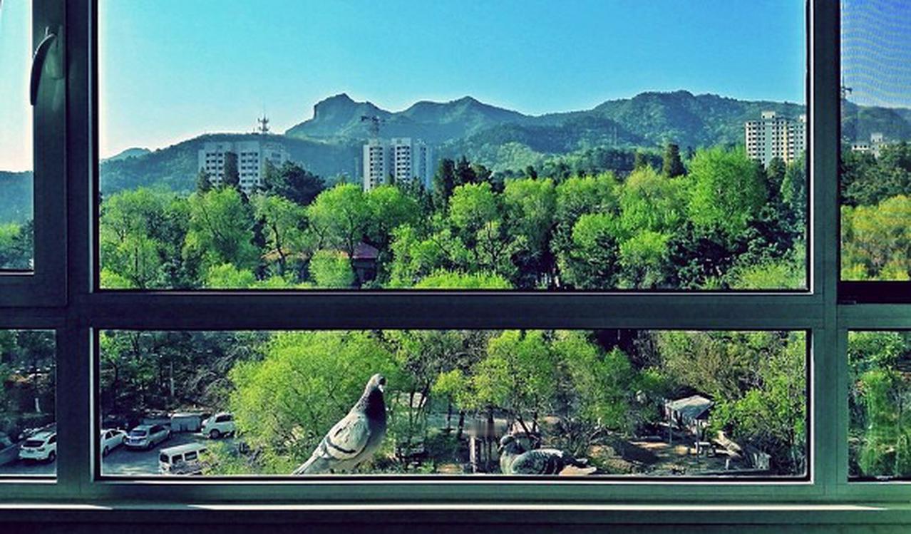 家里窗外的景色，就像一幅永远看不厌的画卷。我常常随手拍下窗外美景。
有时候，窗外