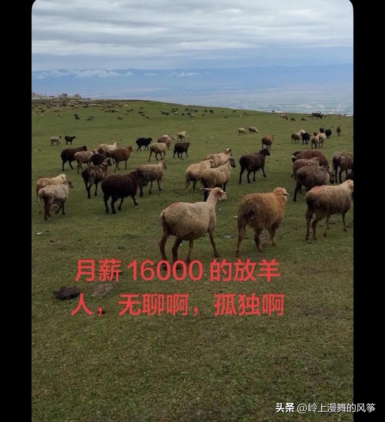 我其实比较合适的，即便生活在城市也天天是一个人，又没房贷又没车贷自由自在，唯一的