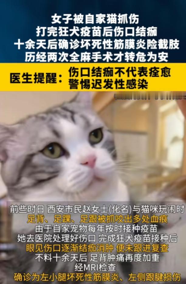 “悲剧还是发生了！”8月12日报道，陕西西安，一女子被自家猫抓伤，她打完狂犬疫苗