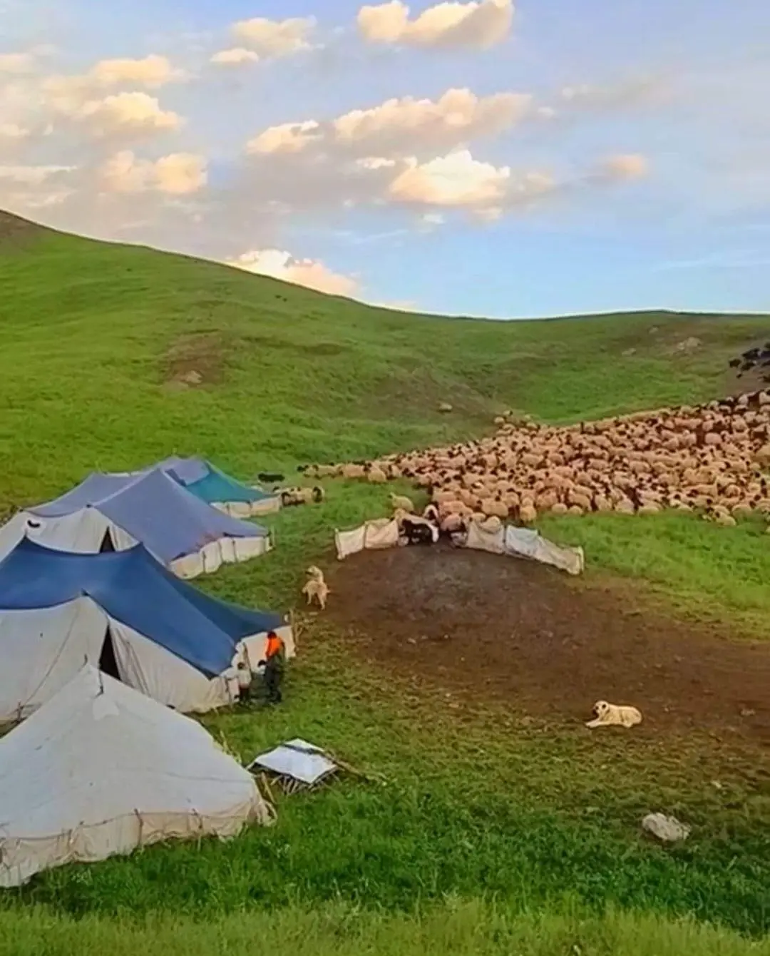 土耳其境内的库尔德人