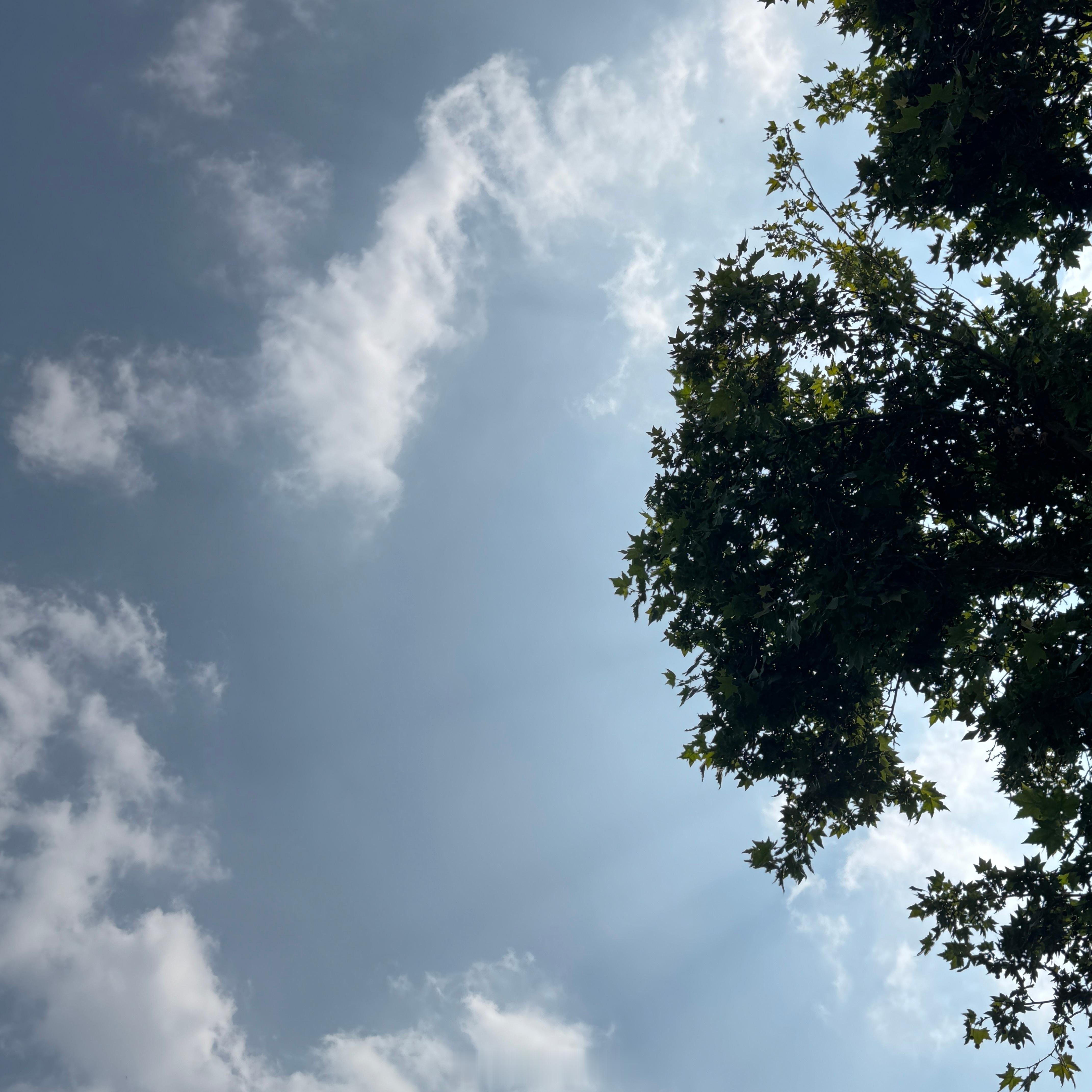 不要总是低头走路偶尔也抬头看看天愿每一个仰望天空的时刻看到的都是光和希望晚安啦(