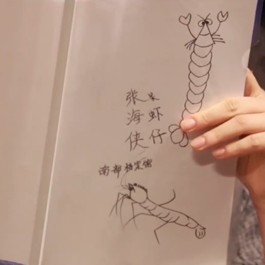 属于张海虾的剧本 