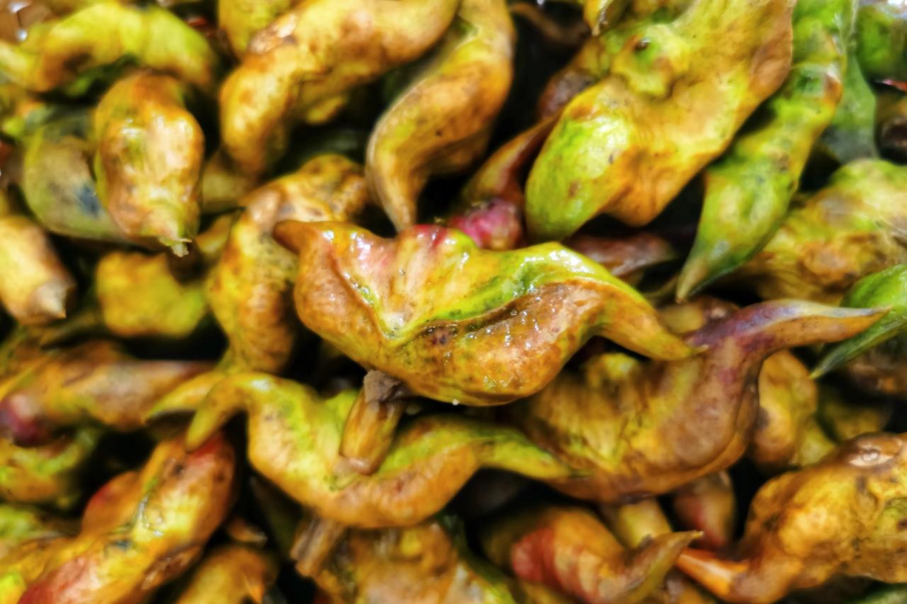 湖州人注意！今年菱角提前上市，量少抢手，去晚真没了！
才8月上旬，湖城菜场里的菱