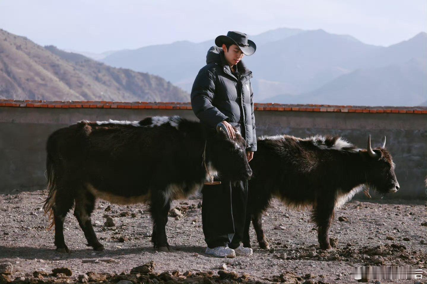 赵小童的青海游记赵小童的青海游记plog 哇哇哇 赵小童你就宠我们吧[笑哈哈]青