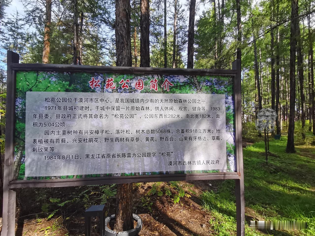 自驾G331在这里等叶子黄再继续往前走，顺路打卡漠河松苑公园。
闹市区里居然藏着