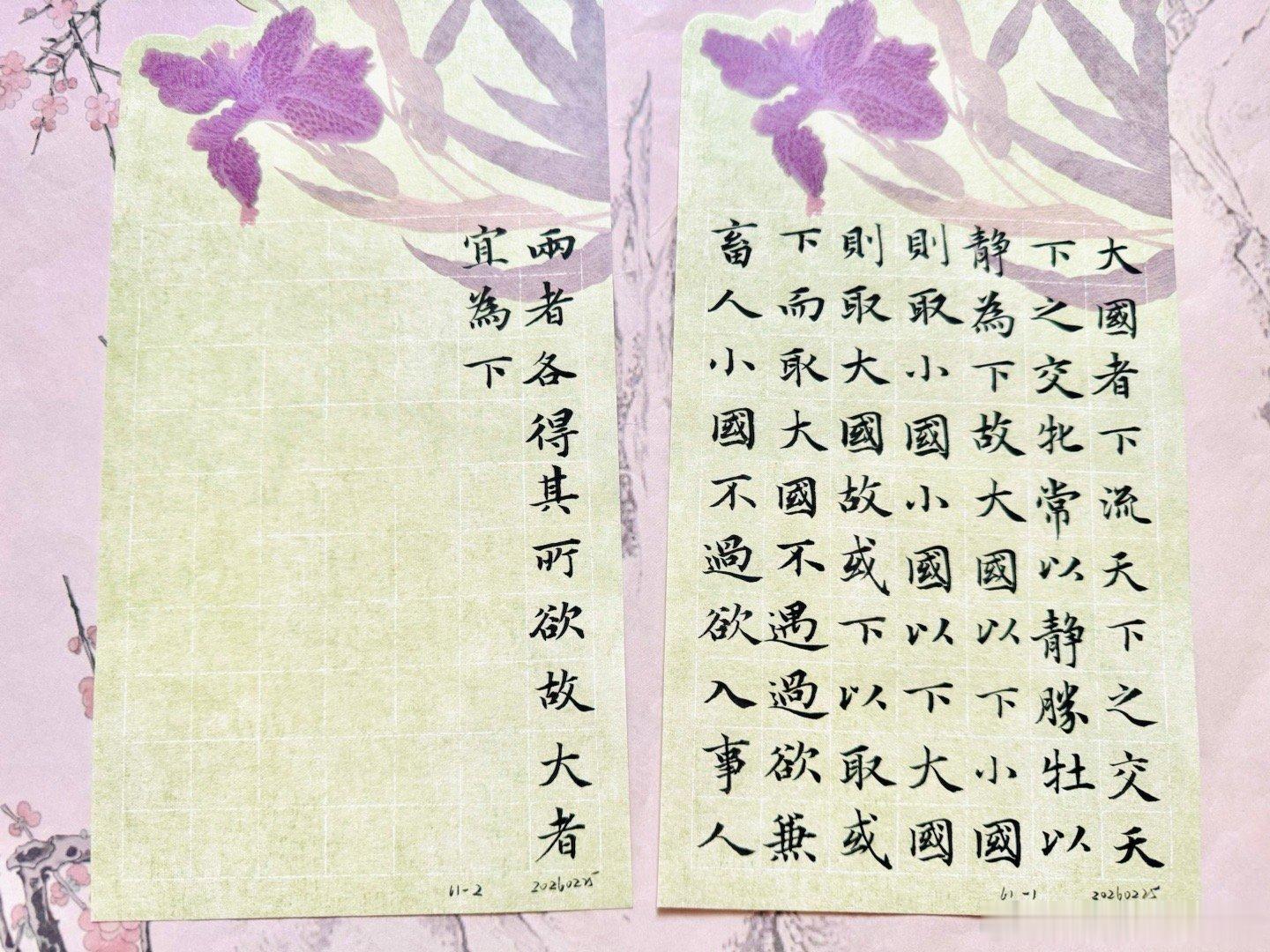 罗云熙  练字打卡第1038天赵孟頫小楷《道德经》第六十一章老子开篇就说“大国者