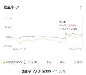 2024年度收官之战，以为是红红火火的一天，盘中早有第二批互换便利之利好，但主力