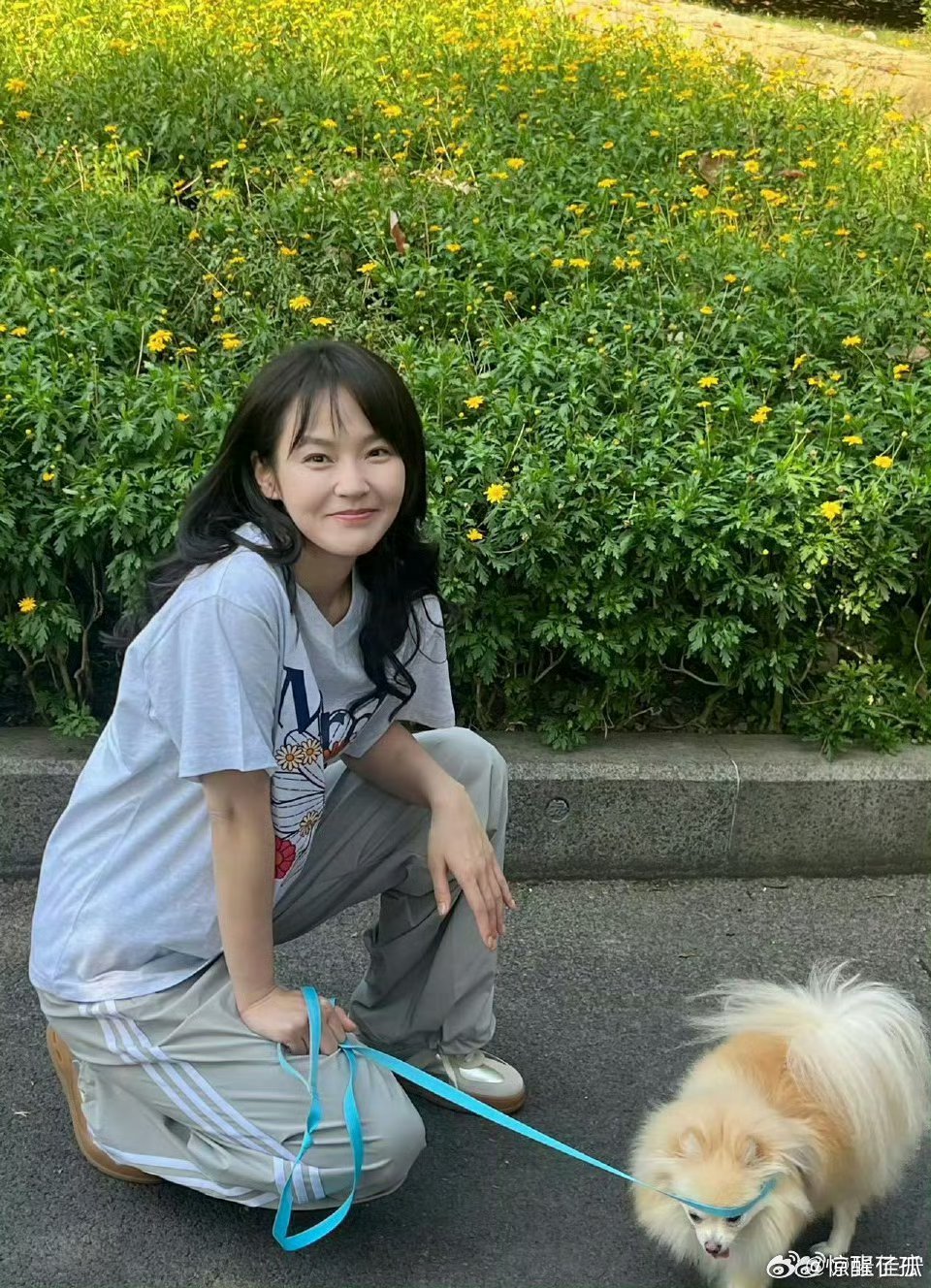 张佳宁日常电子闺蜜感 张佳宁的日常分享有一种特别的治愈力，不是轰轰烈烈的感动，而