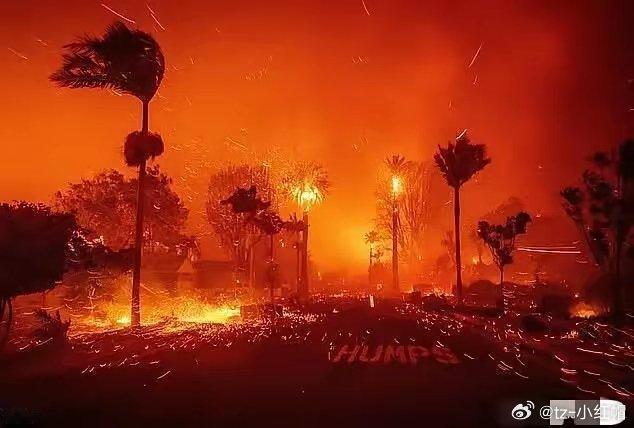 这下有好戏看了！！加州大火这几天闹得沸沸扬扬，没想到这次大火又惹出了许多“隐形富