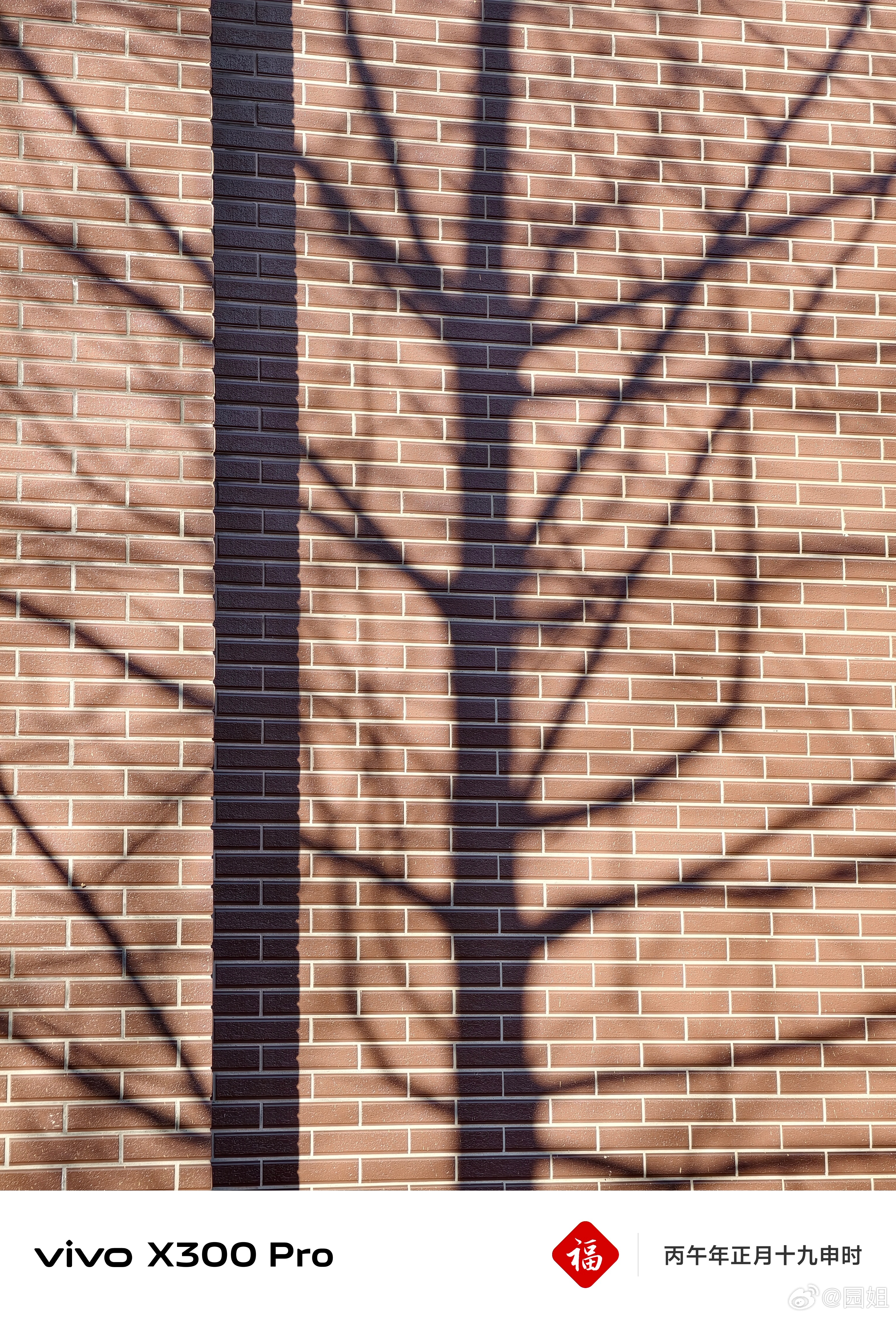 有点怀念深圳的温度