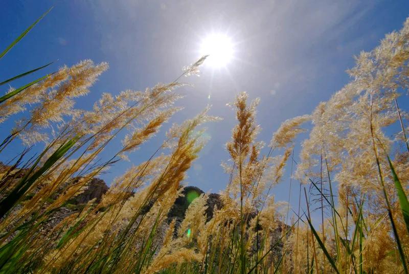 静眺秋云朵若棉，千山阅尽韵情闲。
伊人驻足凝眸望，落霞孤鹜把水点，美景醉心间。