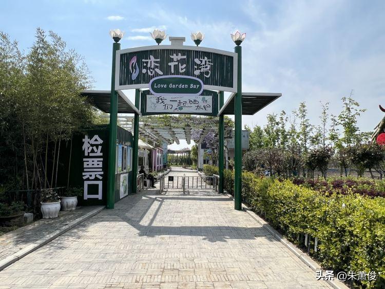 芜湖陶辛恋花湾主题乐园，位于安徽省芜湖市湾沚区陶辛镇，地处国家4A级陶辛水韵景区