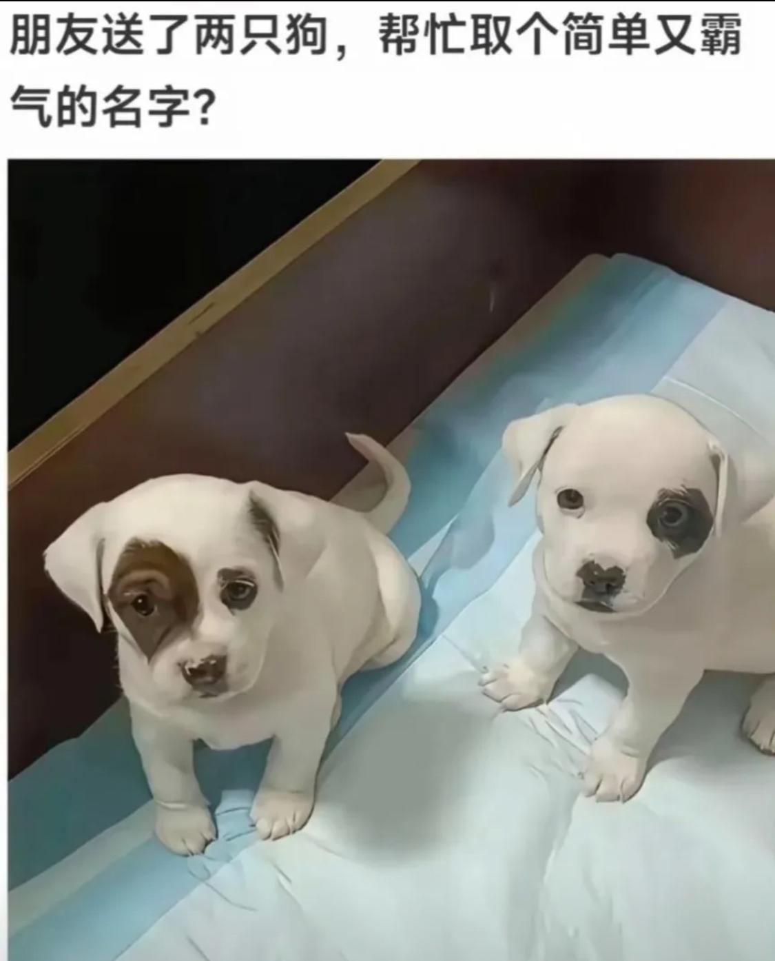 来位有才的大哥大姐帮帮忙[作揖]