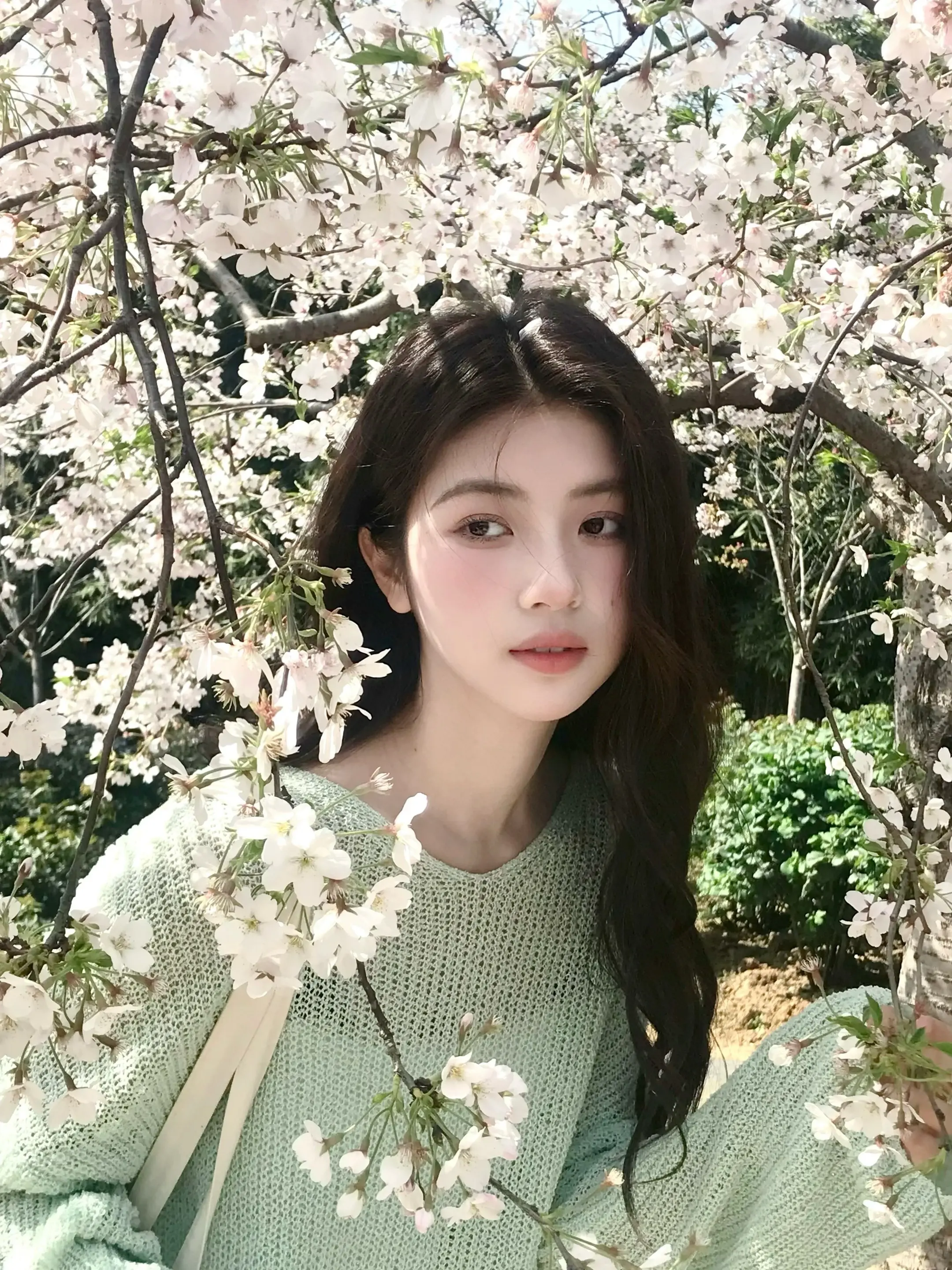 樱花树下是我的春天  给好朋友 拍的白樱花