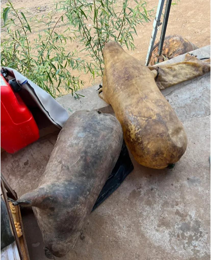 听说兰州本地人都不坐羊皮筏子
是因为太危险了吗?羊皮筏子