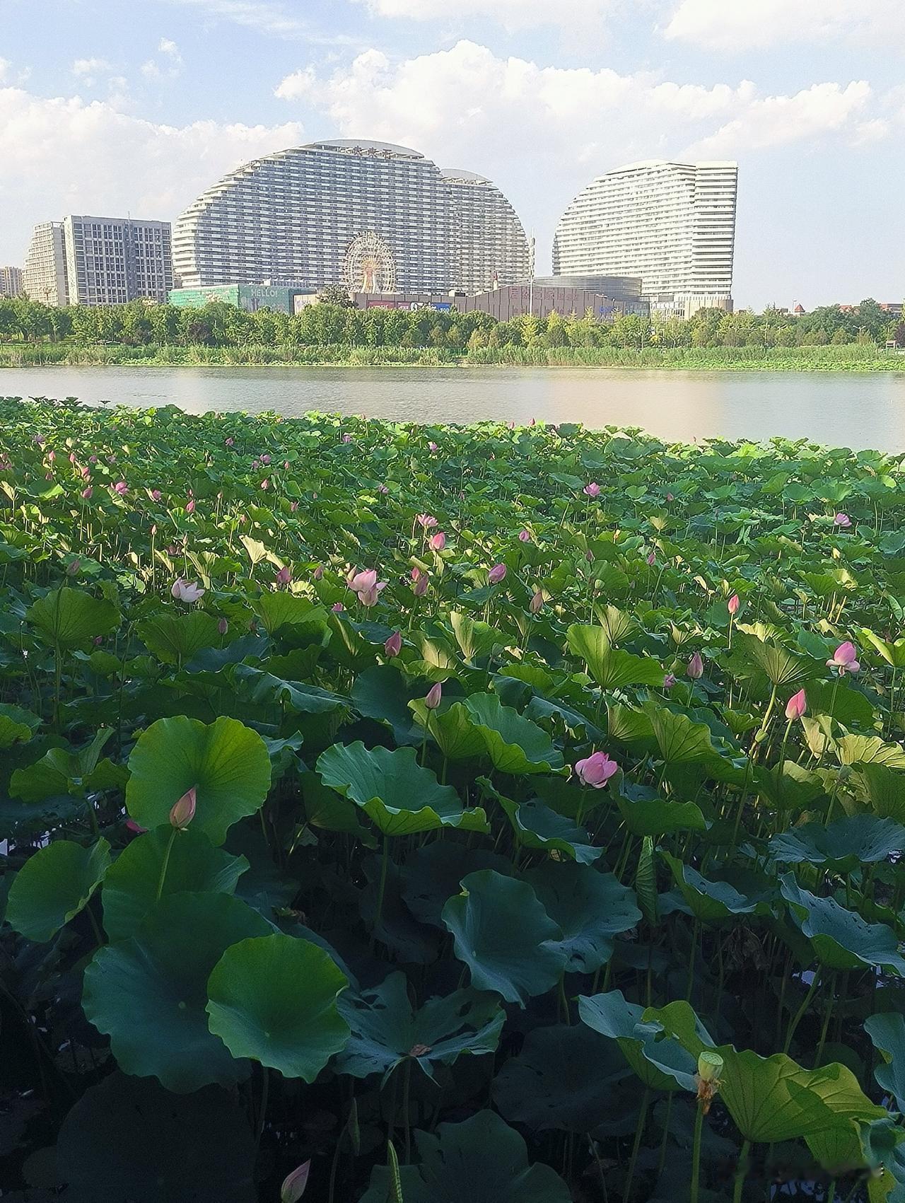6月21日到23日，保定将迎来一年一度的中考。中考后，中高考成绩查询、志愿填报工