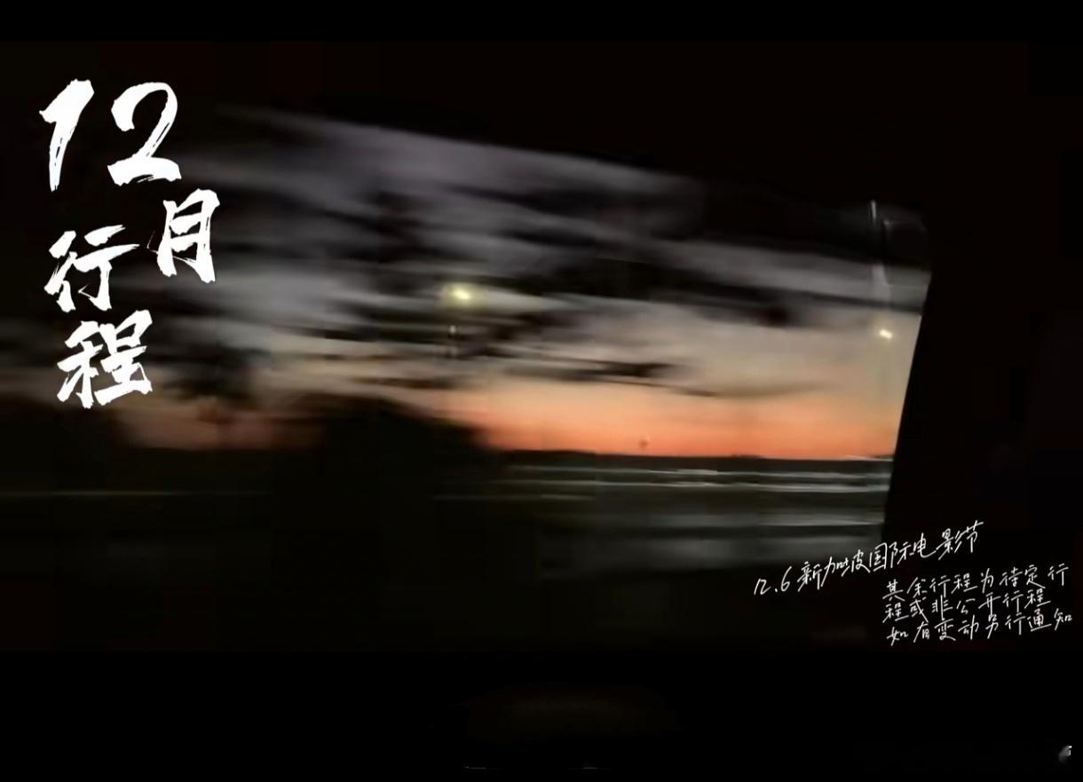 赵丽颖12月行程——12月6日新加坡国际电影节！这是丽今年带着作品出席的第7个颁