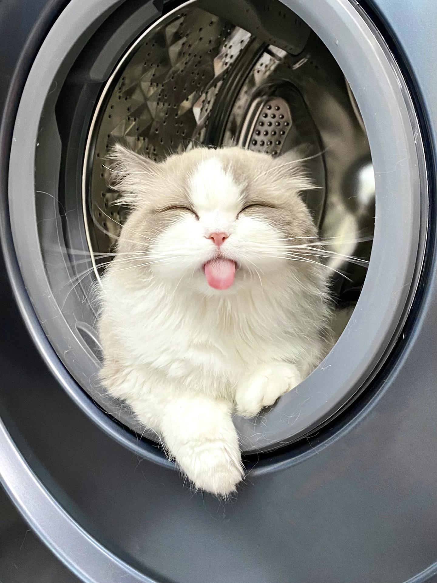 该怎么劝他不要睡在洗衣机！