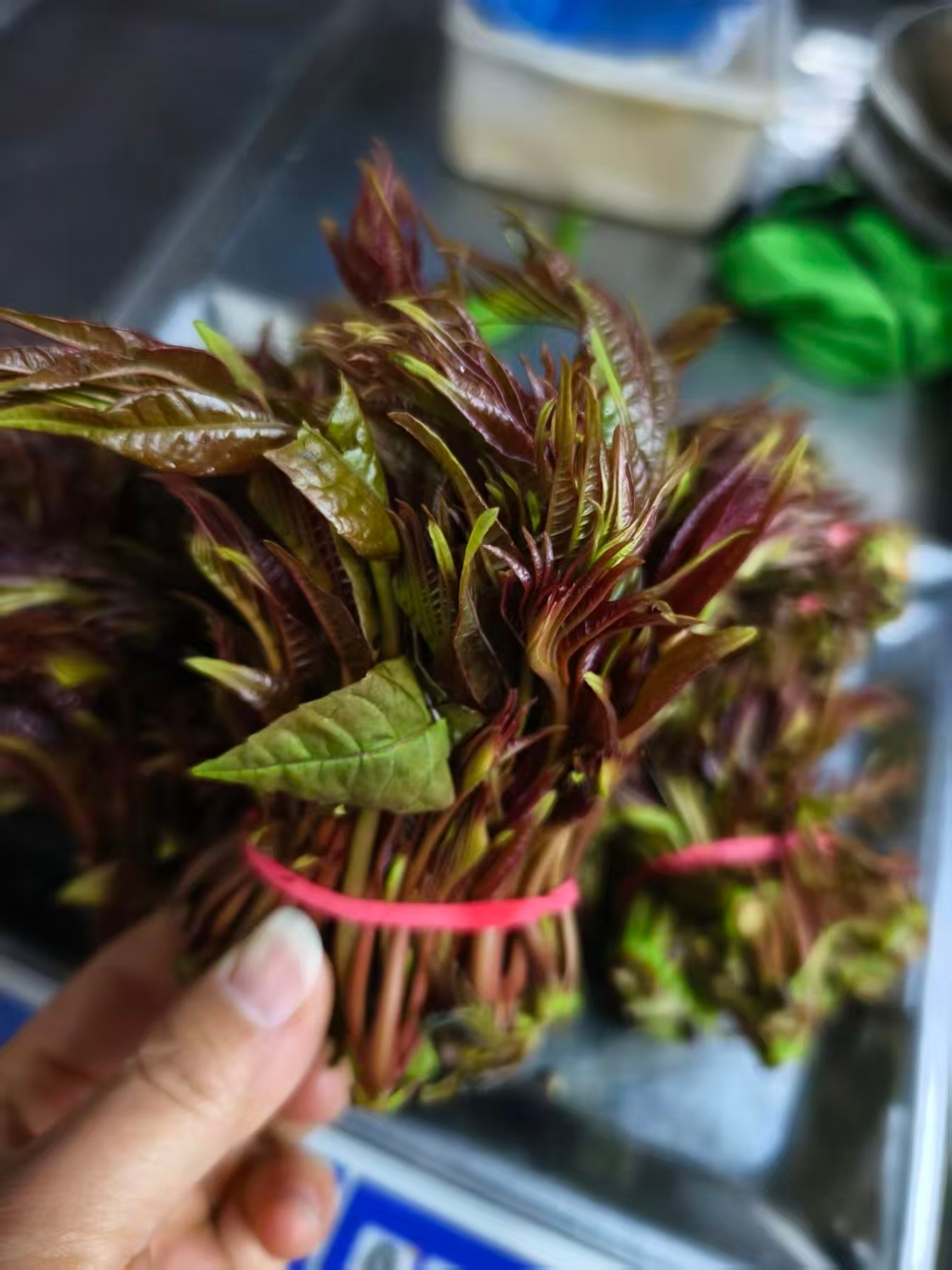 头茬香椿收购价比肩五花肉 作为“春天第一鲜”，香椿称得上是每年春菜的“顶流”。营