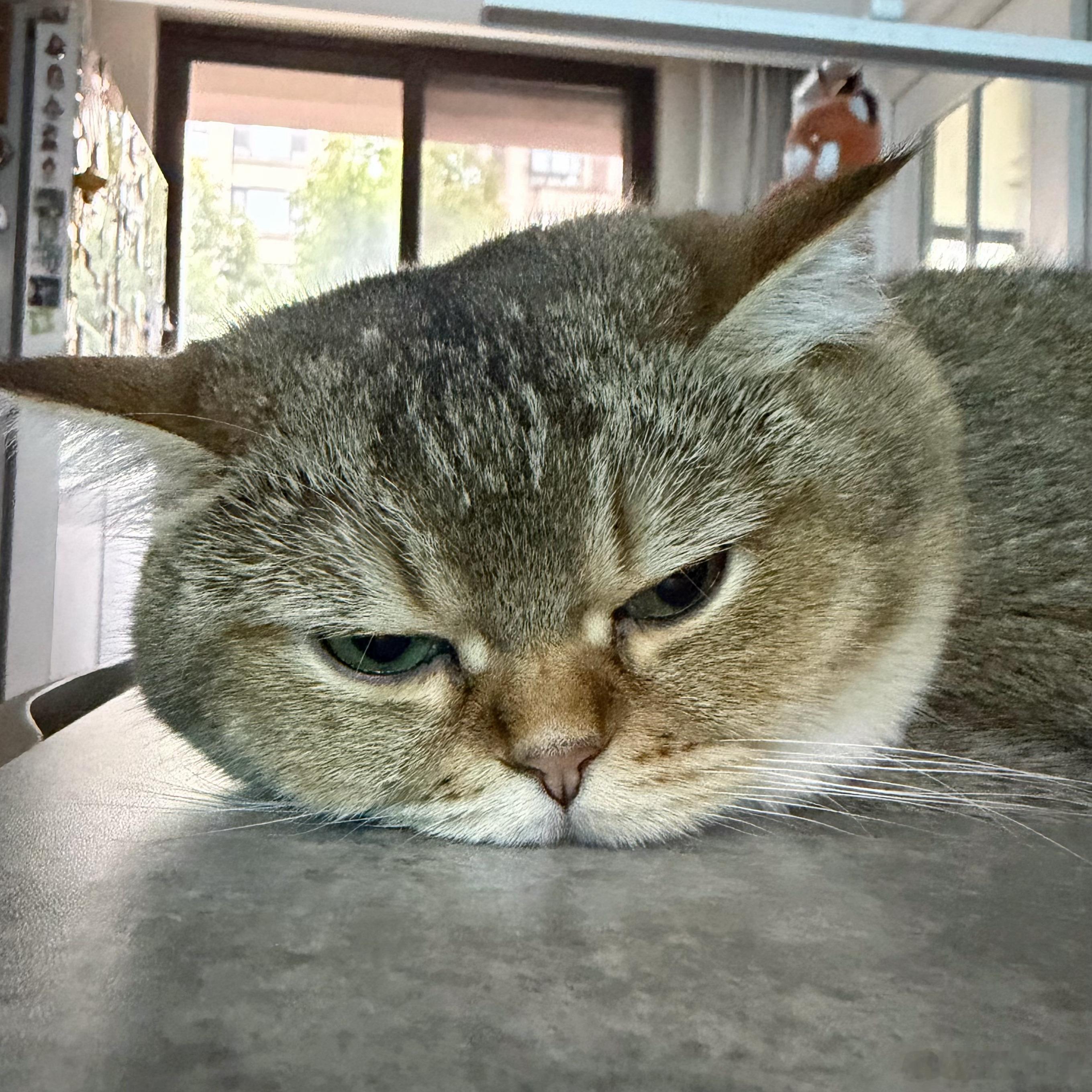 嗯……嗯？ 