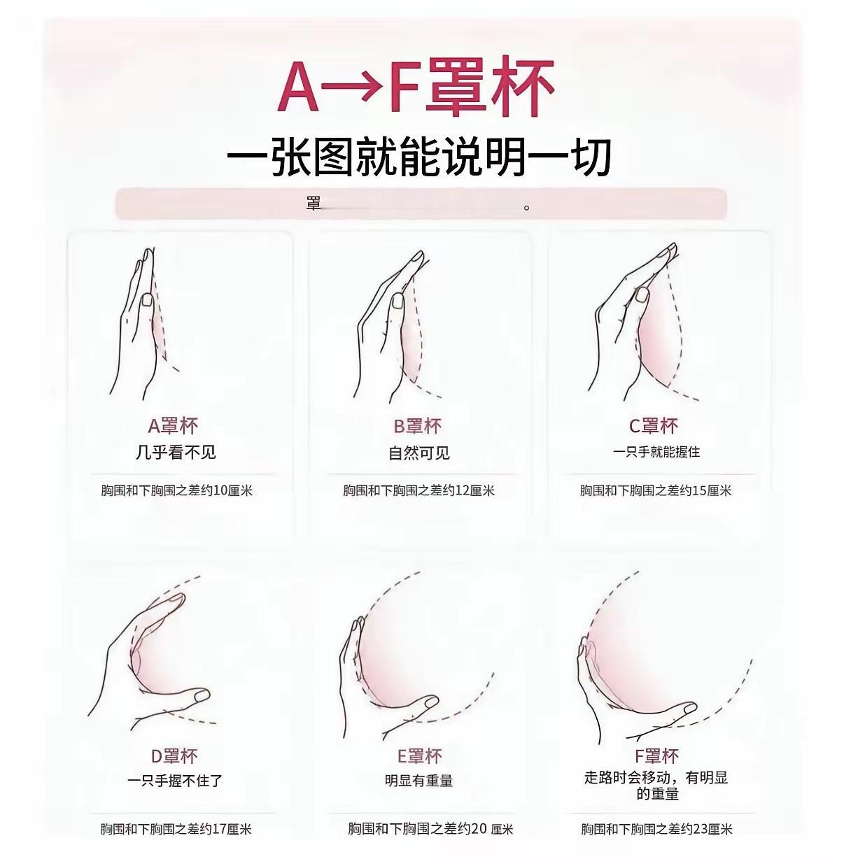 罩杯大小和遗传、体重等很多因素有关，只是身体特征，没有好坏之分，不适合拿来讨论对