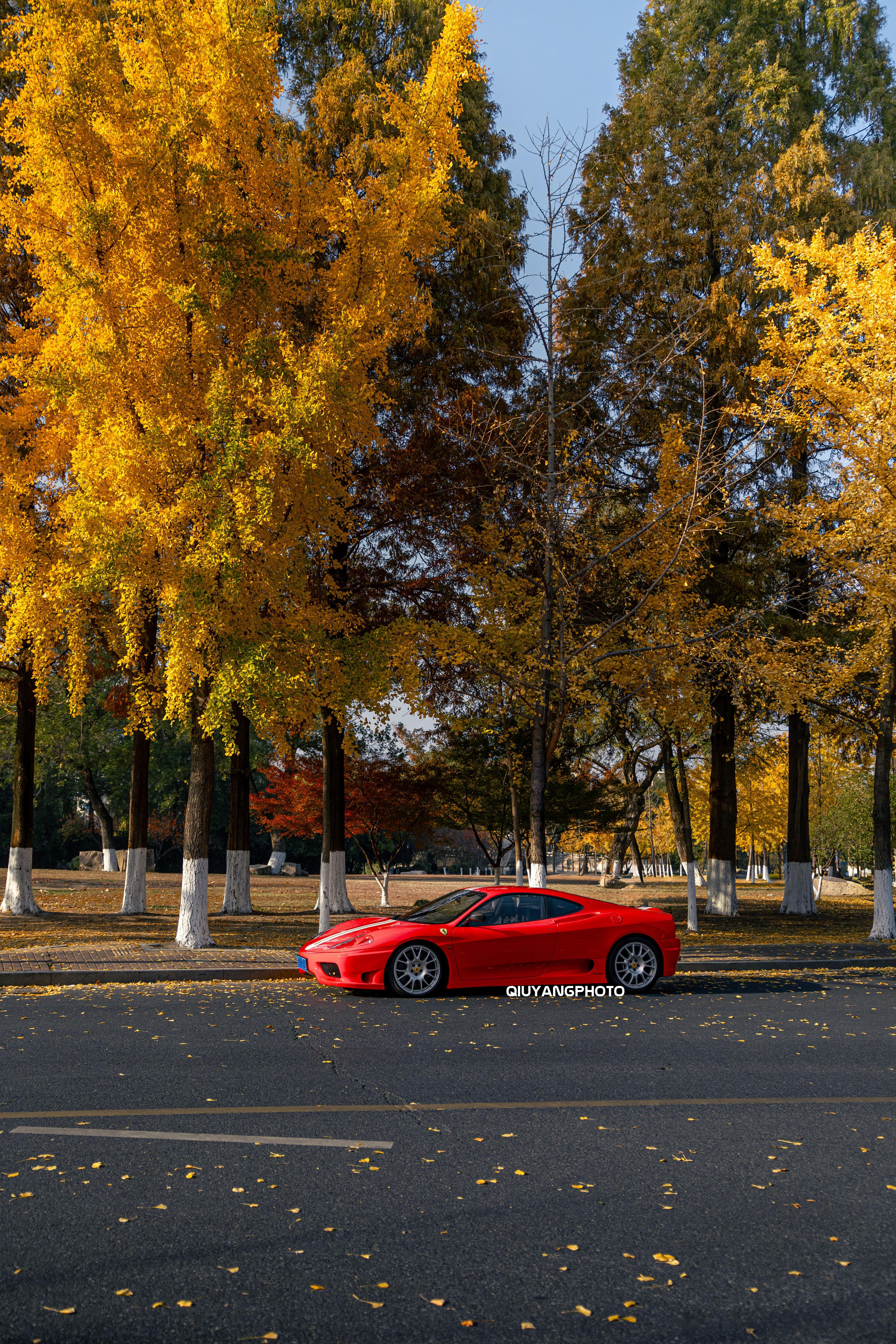 秋天🍂里的Ferrari 360 Challege Stradale #car