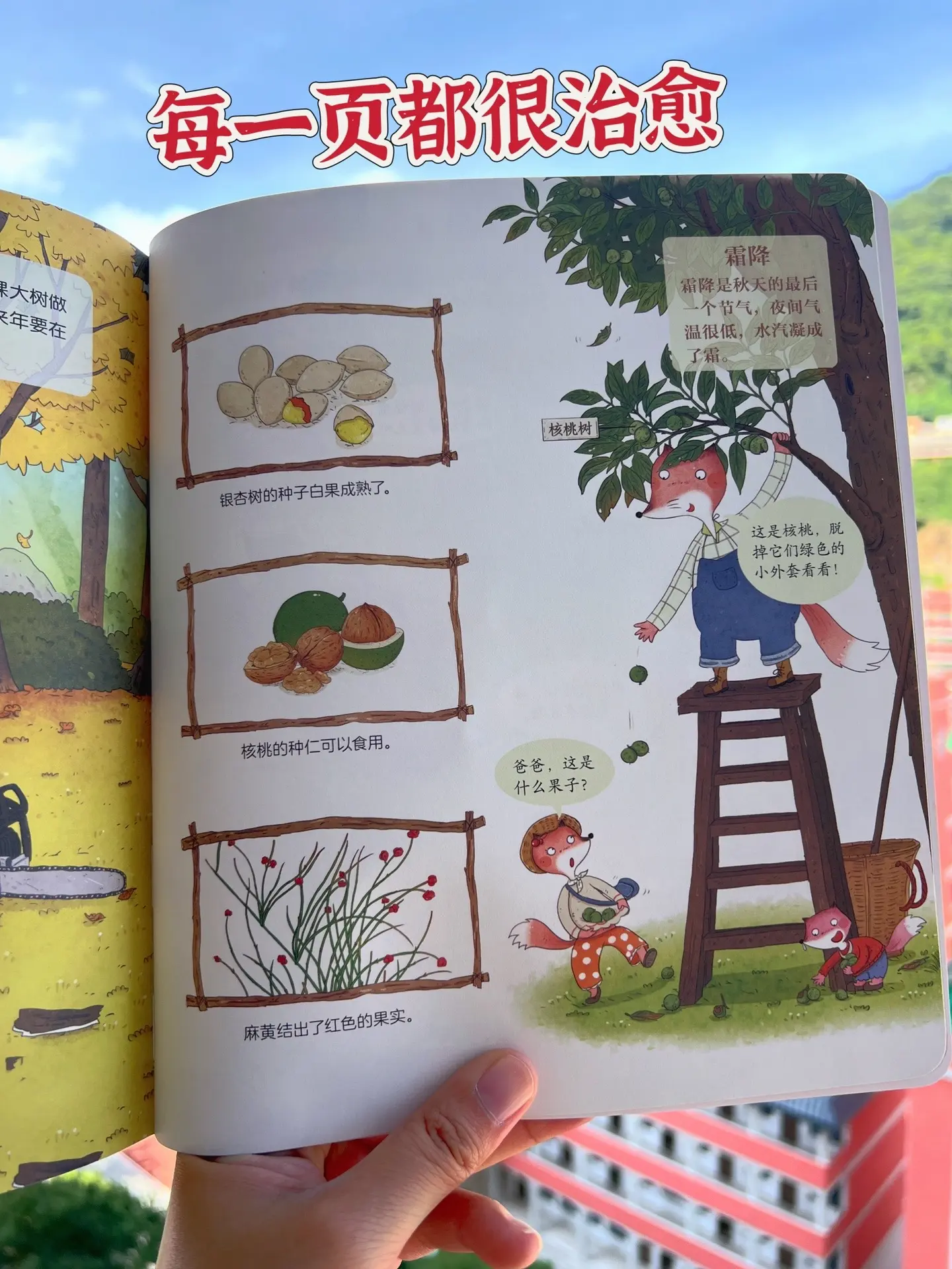 一定要陪孩子看看这套优质绘本，太治愈了～完全还原了爸妈小时候的样子，春...