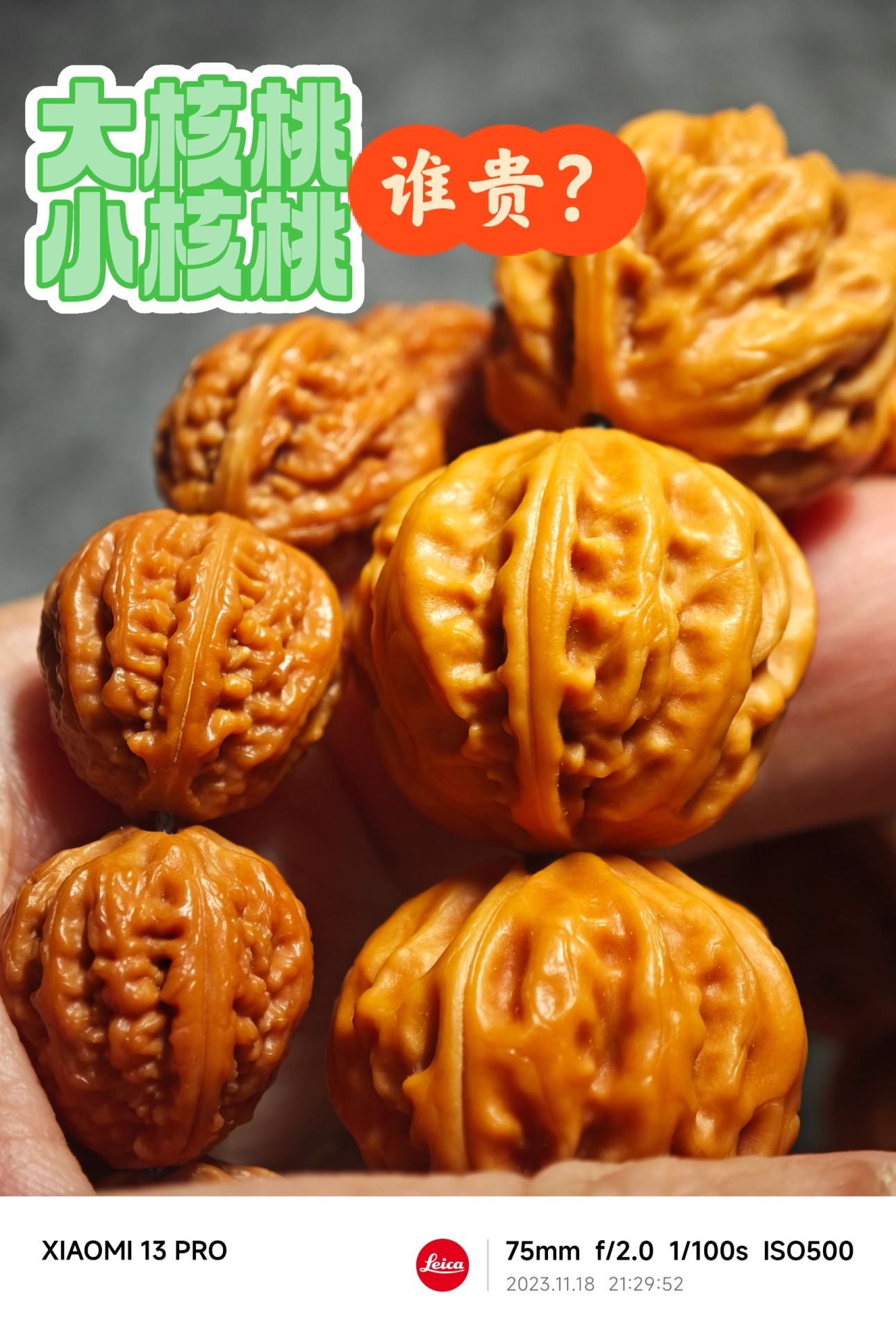 NO.314 核桃大尺寸贵还是小尺寸贵