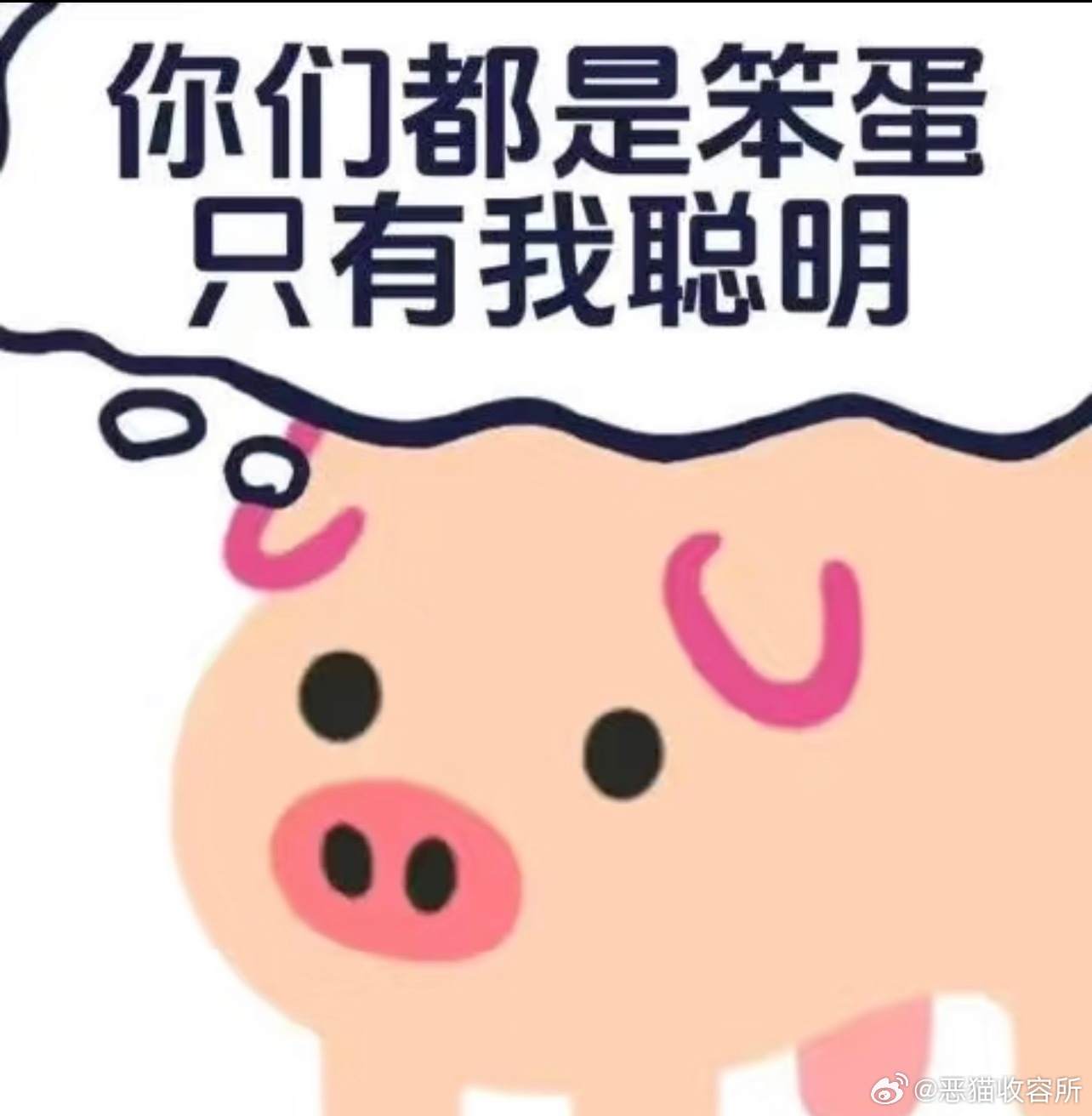 露儿小猪时候 11634 