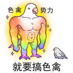 色禽表情包 ​​​