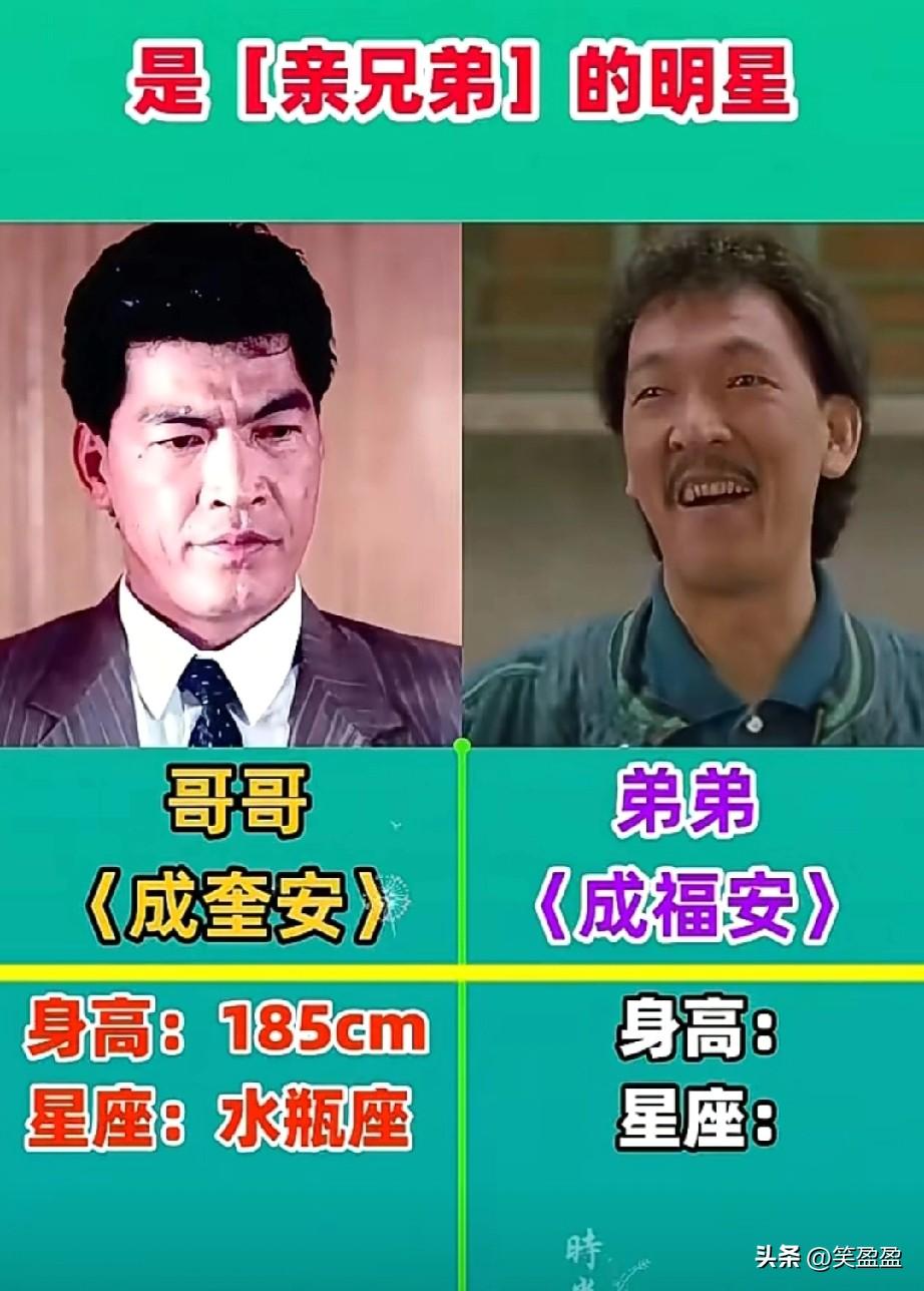 是亲兄弟的明星
你更喜欢谁？