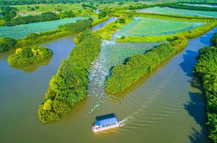 【广州首宗司法碳汇交易落地南沙湿地红树林】近日，由资产经营集团下属湿地公司申报的